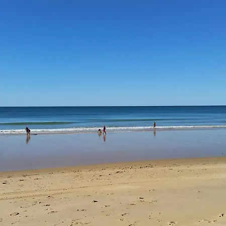 Algarve Falesia 알부페이라