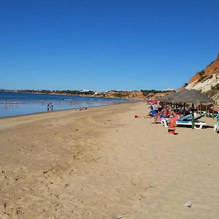 Algarve Falesia * 알부페이라