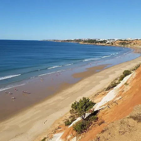 Algarve Falesia 알부페이라
